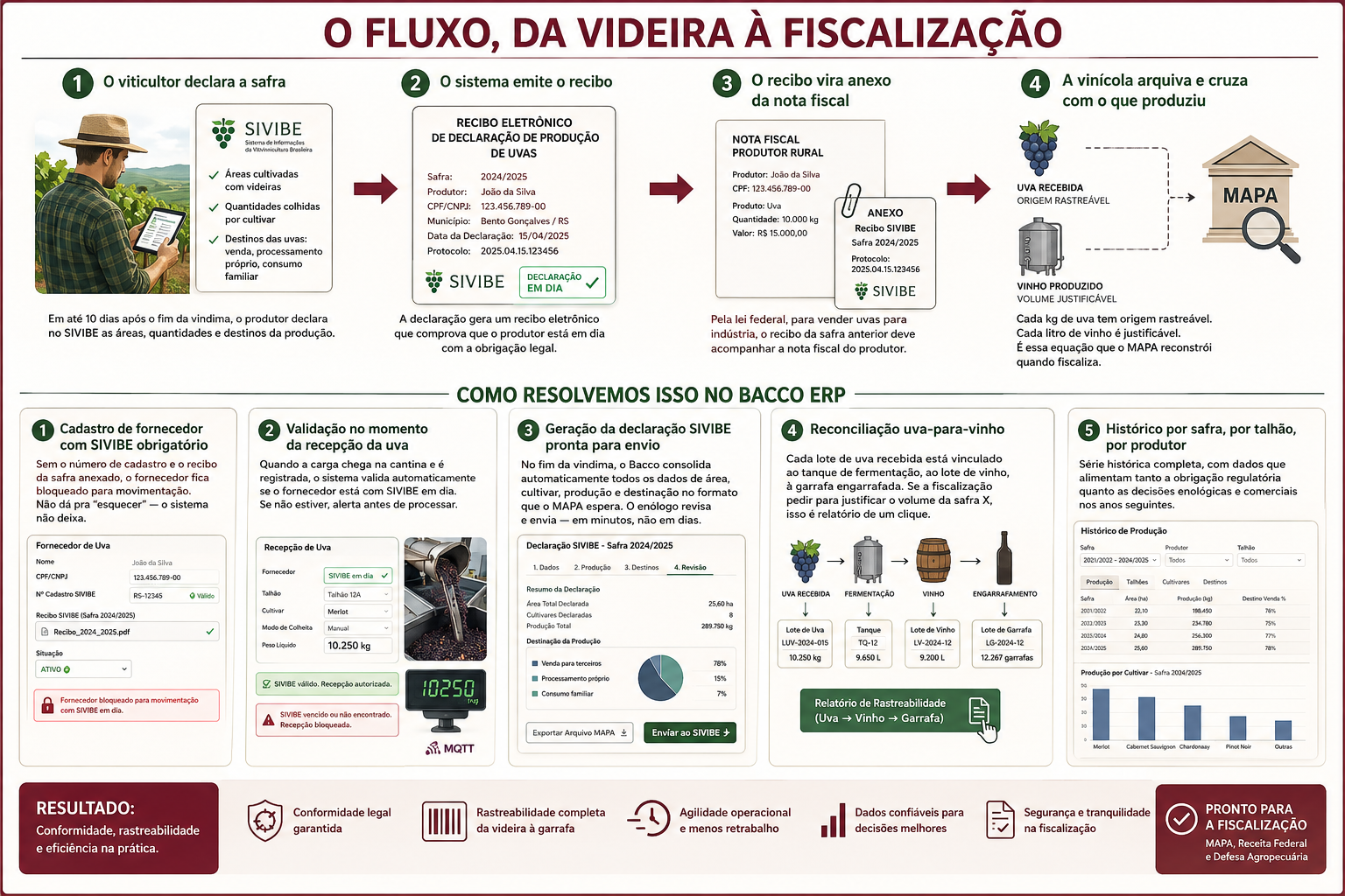 Infográfico do fluxo SIVIBE, da videira à fiscalização